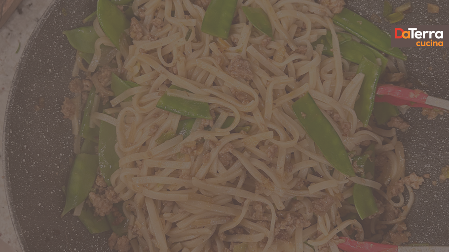 Hoisin Pork Noodles Easy Takeout Style Dinner at Home | DaTerra Cucina