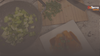 Miso Salmon with Bok Choy